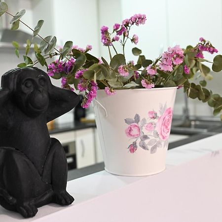 M&M Apartment Ronda Ngoại thất bức ảnh